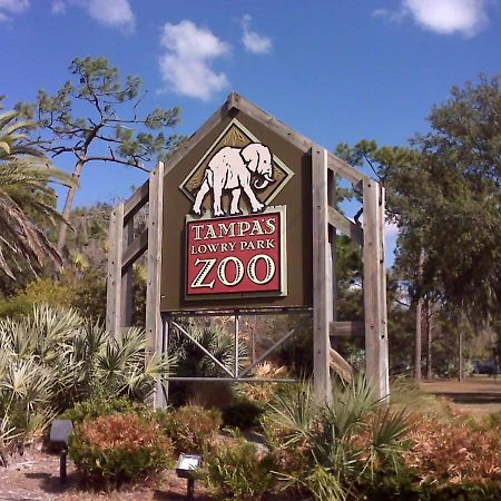4Bd 2 Mi To Usf Free Pool + 24 Hour Gym Villa Tampa Exterior foto