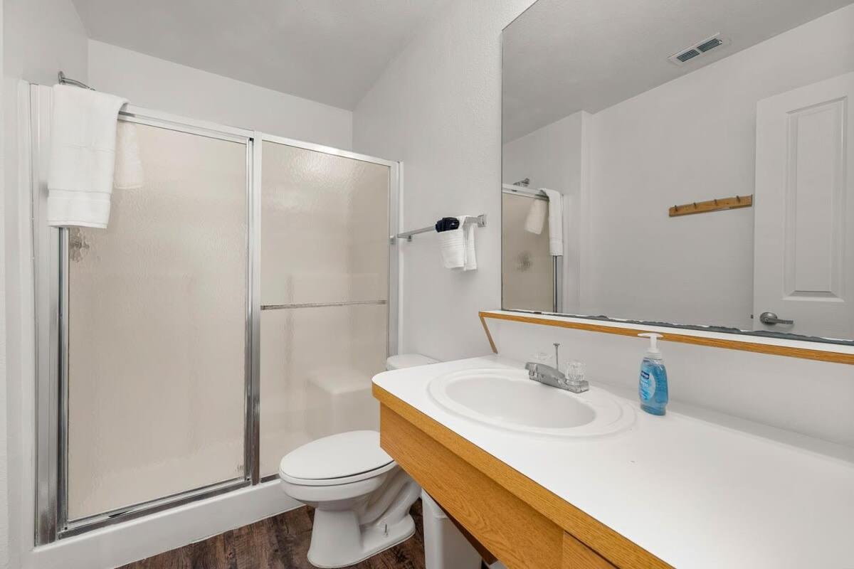 4Bd 2 Mi To Usf Free Pool + 24 Hour Gym Villa Tampa Exterior foto