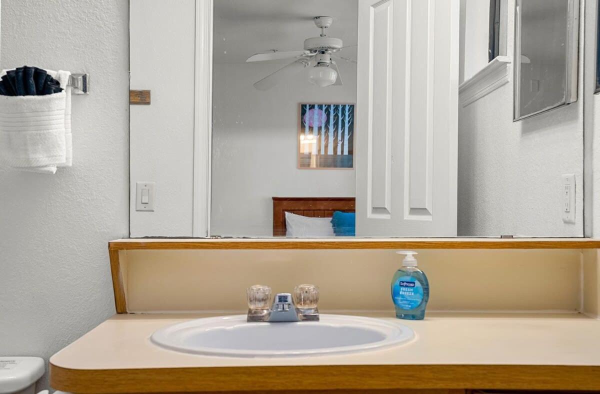 4Bd 2 Mi To Usf Free Pool + 24 Hour Gym Villa Tampa Exterior foto