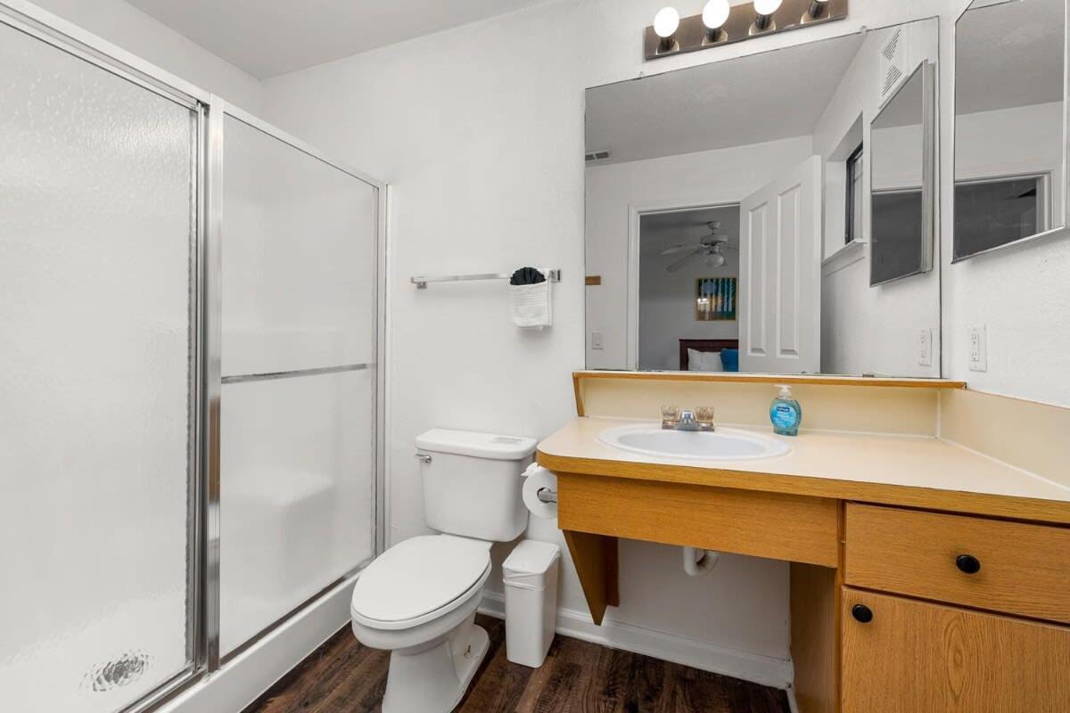 4Bd 2 Mi To Usf Free Pool + 24 Hour Gym Villa Tampa Exterior foto