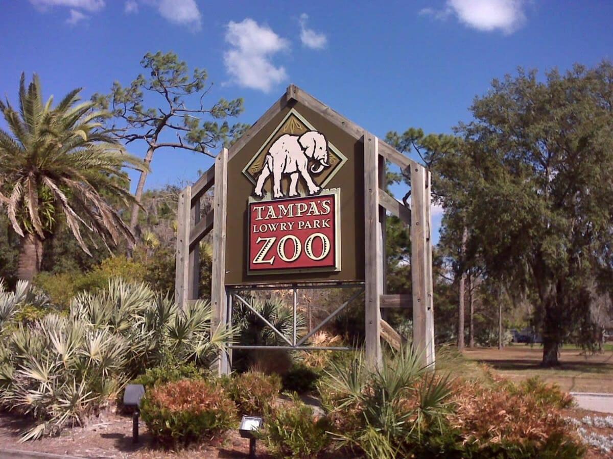 4Bd 2 Mi To Usf Free Pool + 24 Hour Gym Villa Tampa Exterior foto