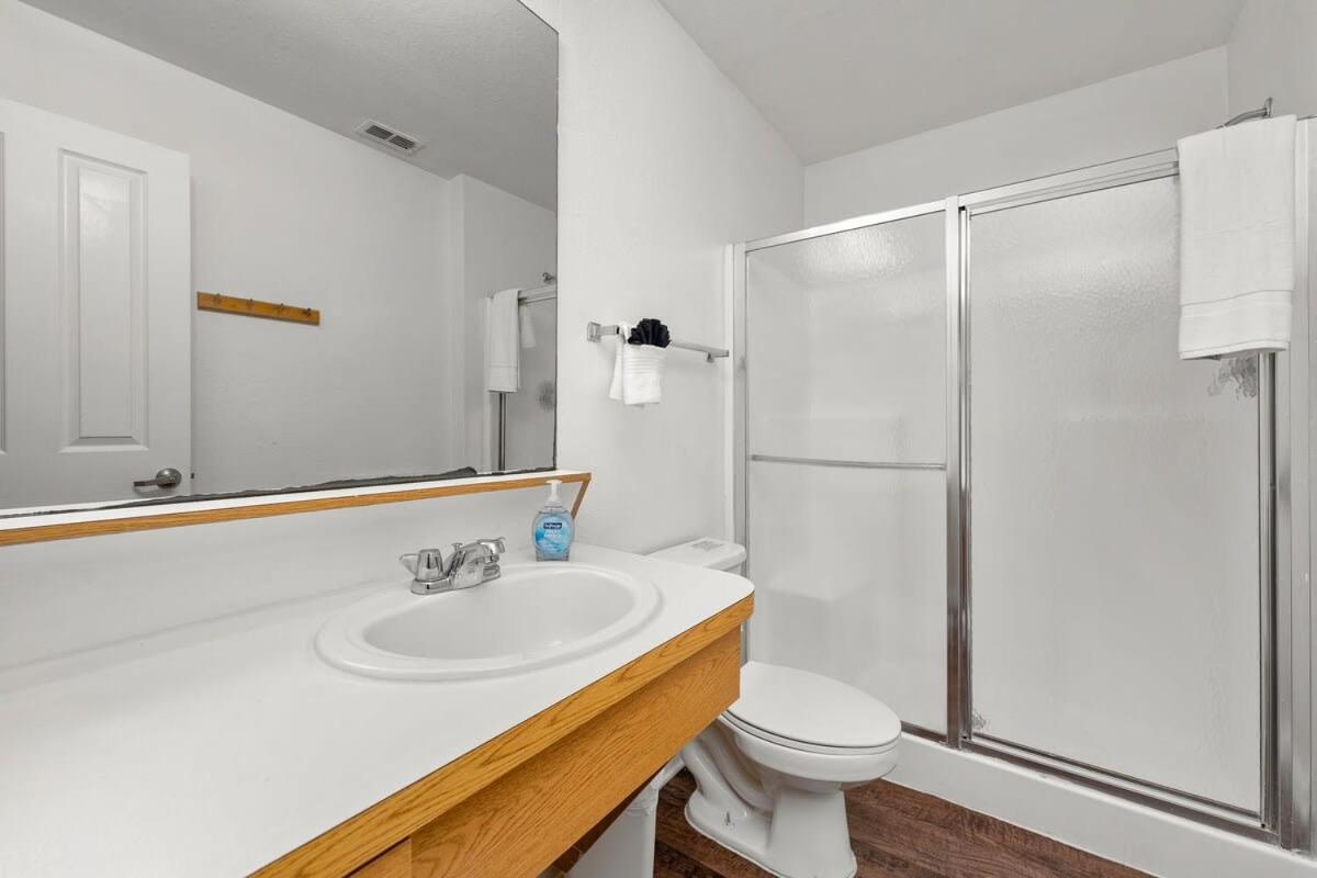 4Bd 2 Mi To Usf Free Pool + 24 Hour Gym Villa Tampa Exterior foto